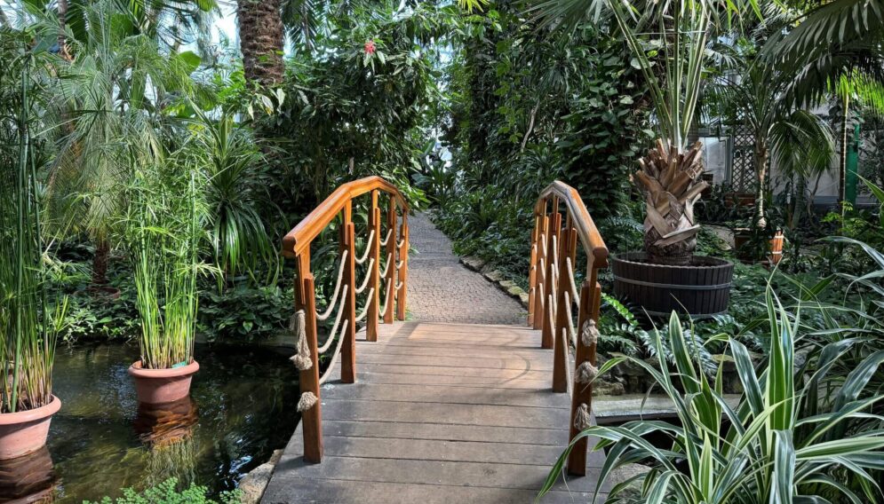 Palmiarnia w gliwicach