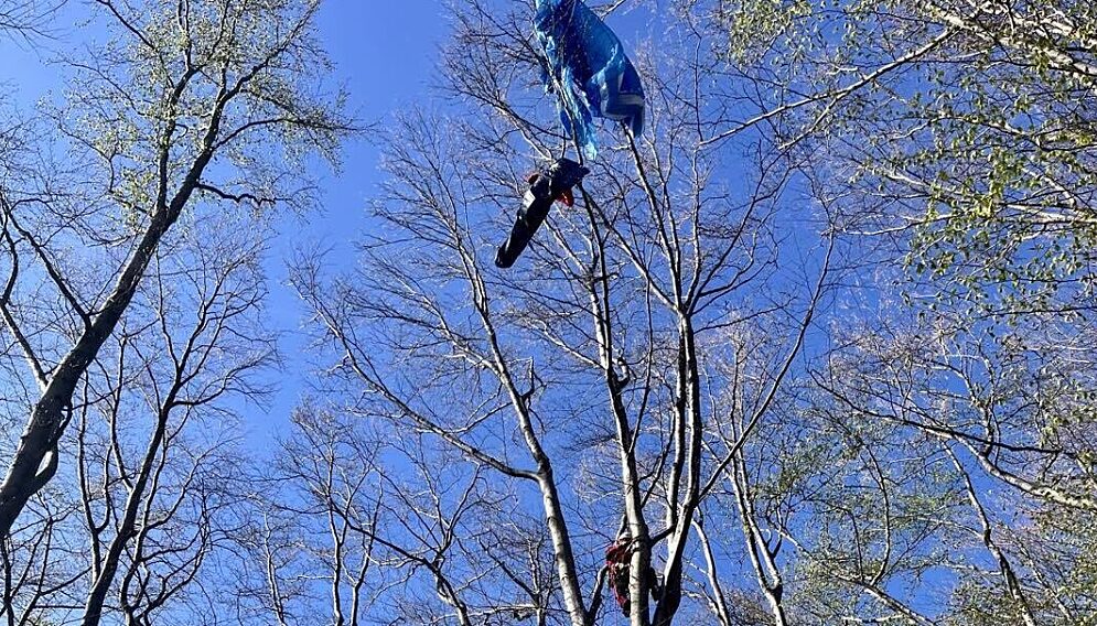 Paralotniarka na drzewie