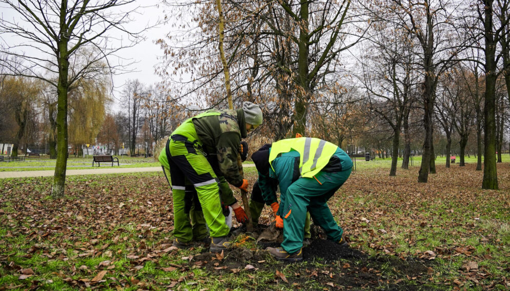 Park kosciuszki katowice