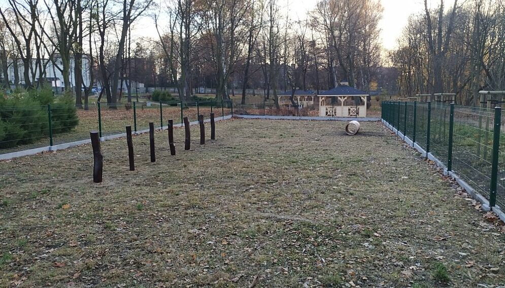 Park brzeziny8