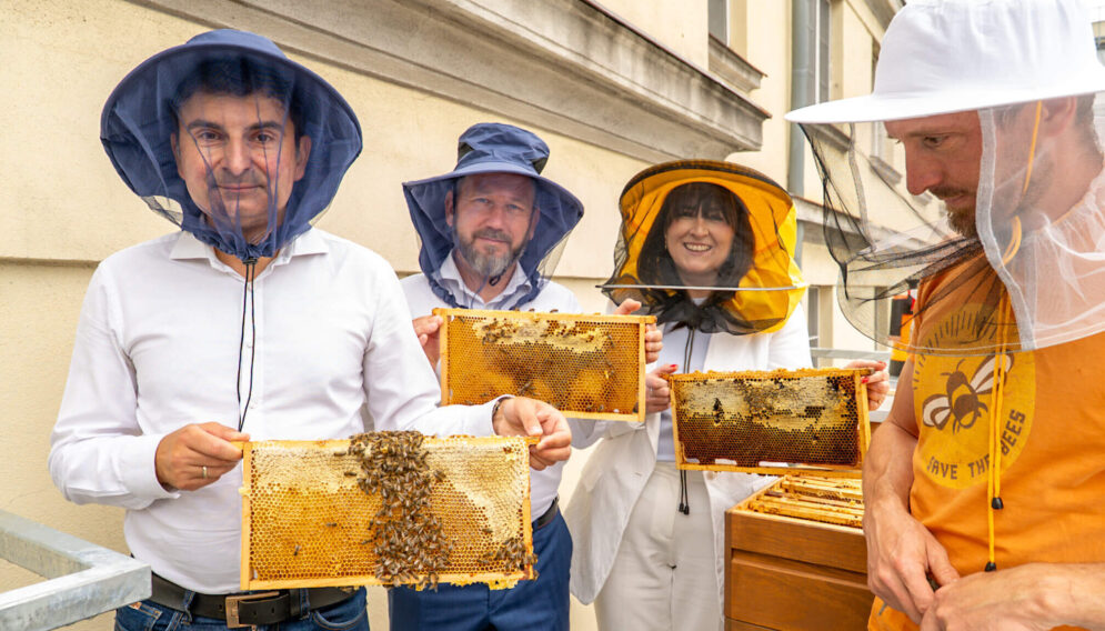 Pasieka na dachu urzedu wojewodzkiego