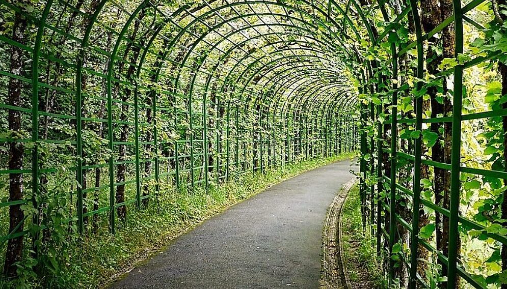 Pergola cmentarz tychy