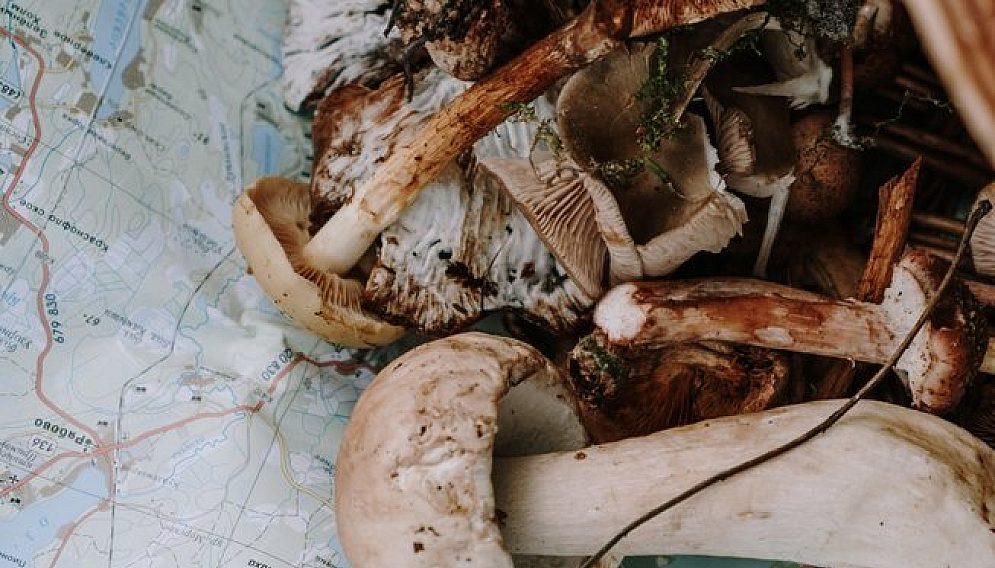 Pexels cottonbro 6034382