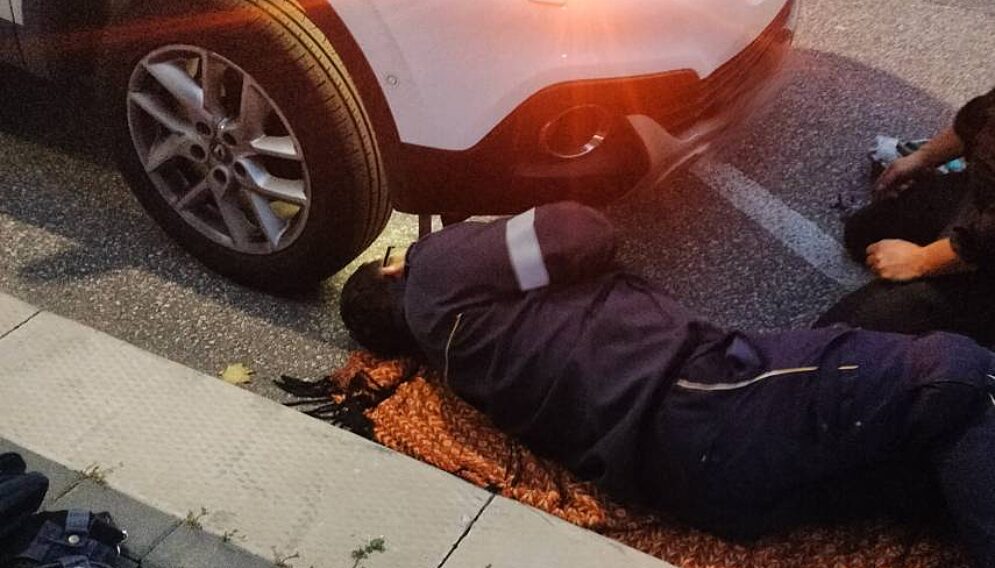 Pies zaklinowany w komorze silnika