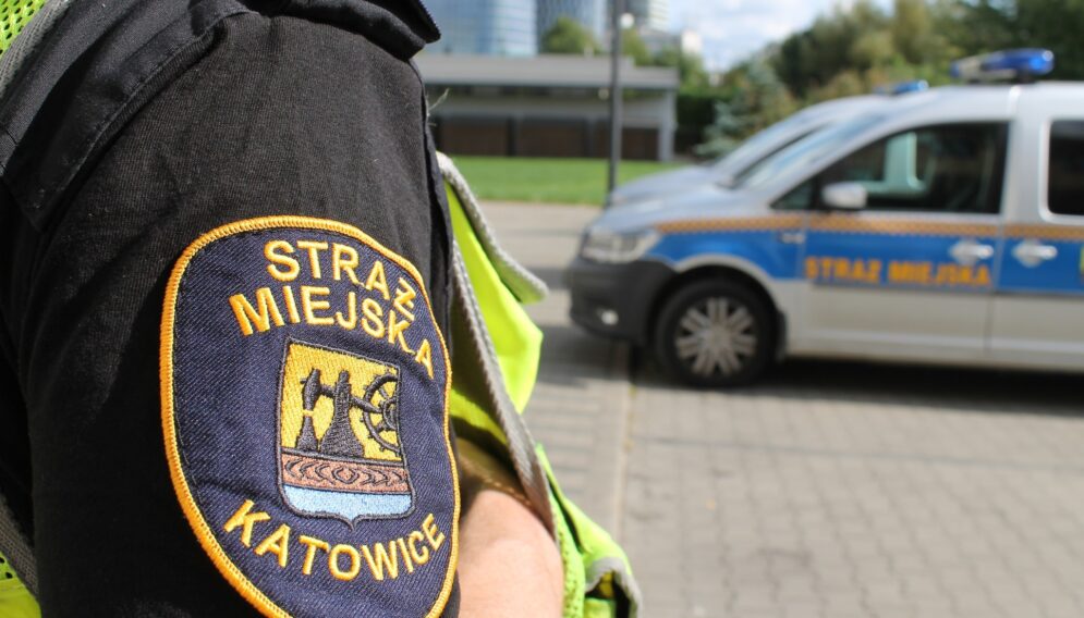 Pijani rodzice katowice