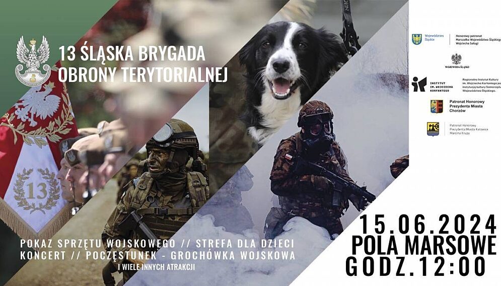 Piknik rodzinny w parku slaskim