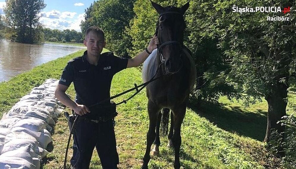 Policjanci uratowali konia