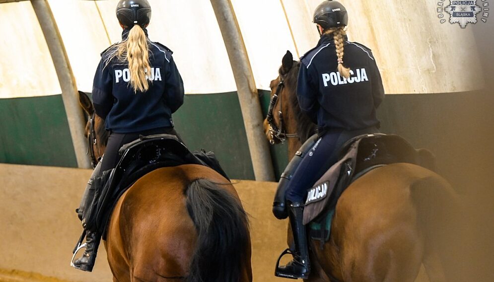 Policyjne konie