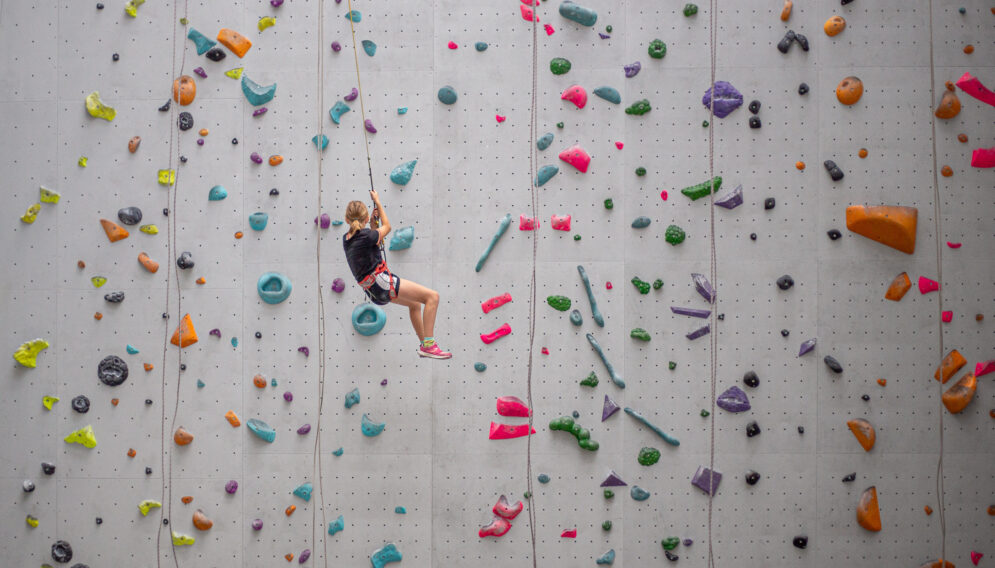 Polkolonie na skarpie