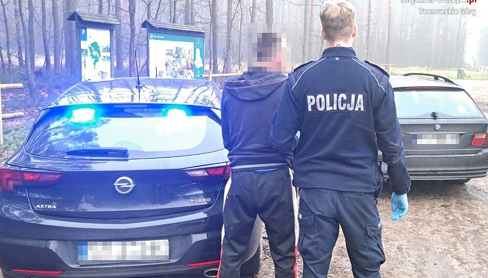 Poscigtarnowskiegory