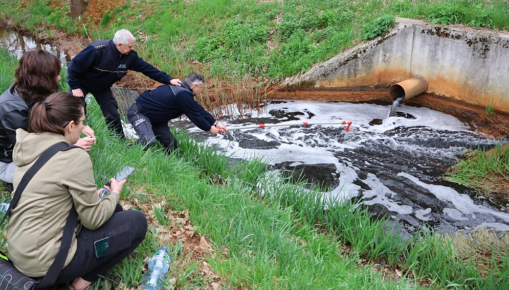 Potok stawowy w bieruniu