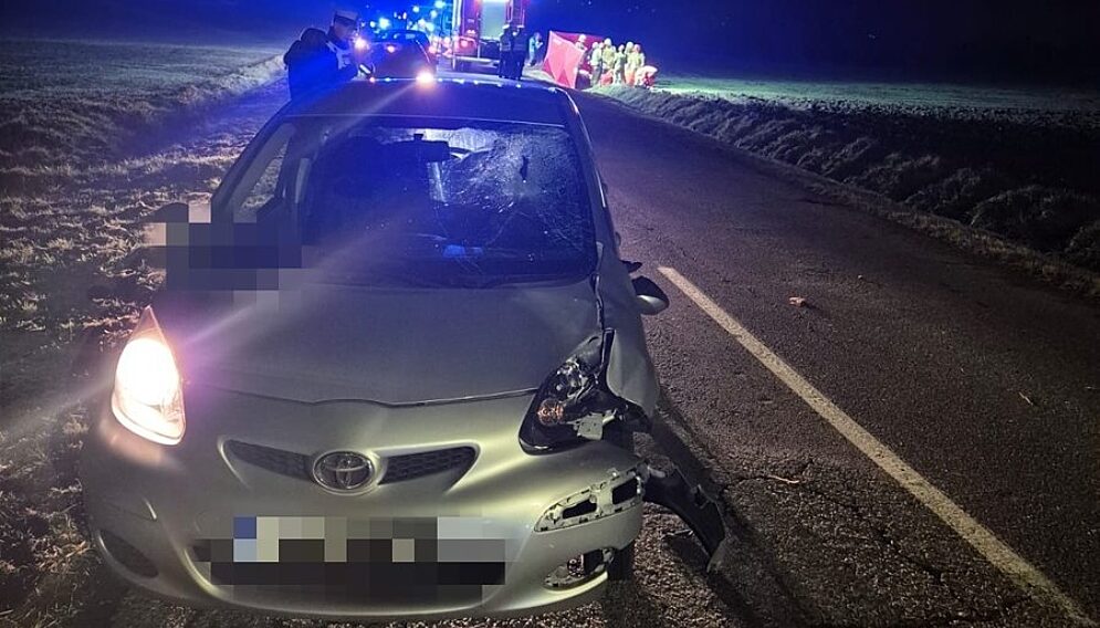 Potracenie krzanowice