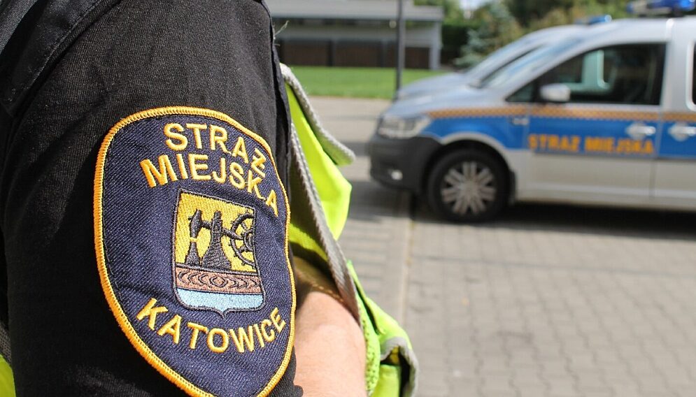 Praca w strazy miejskiej