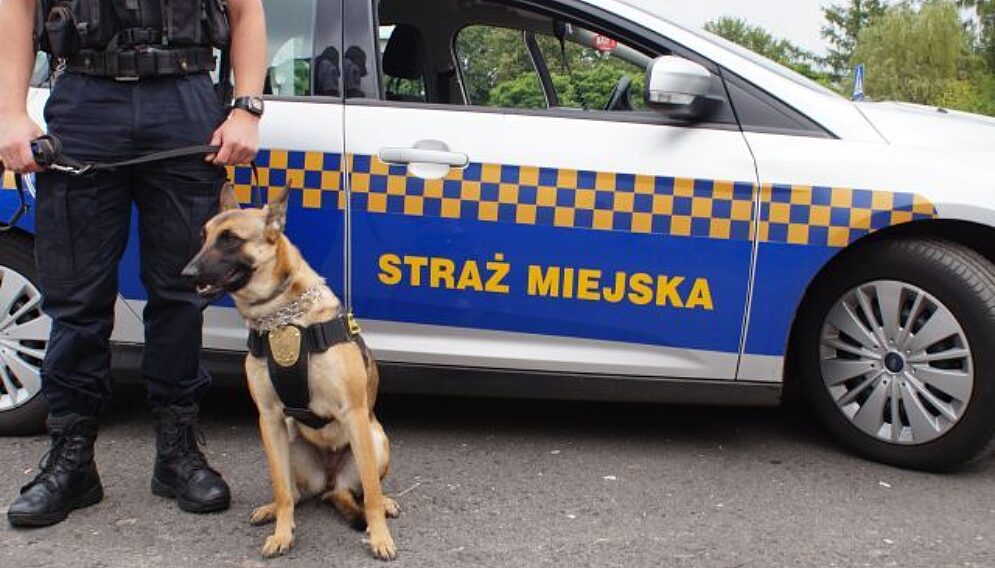 Prima straz miejska czestochowa