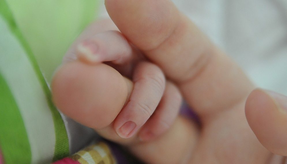 Program in vitro czestochowa