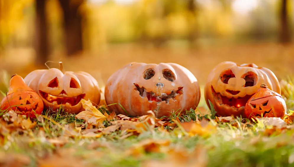 Przepisy na Halloween z dynia