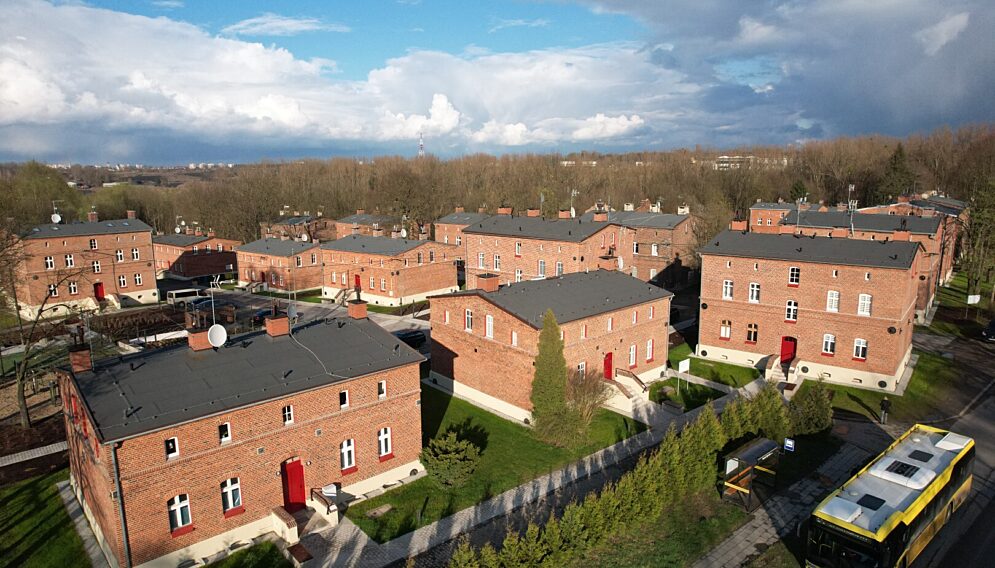 Rewitalizacja kolonii zgorzelec