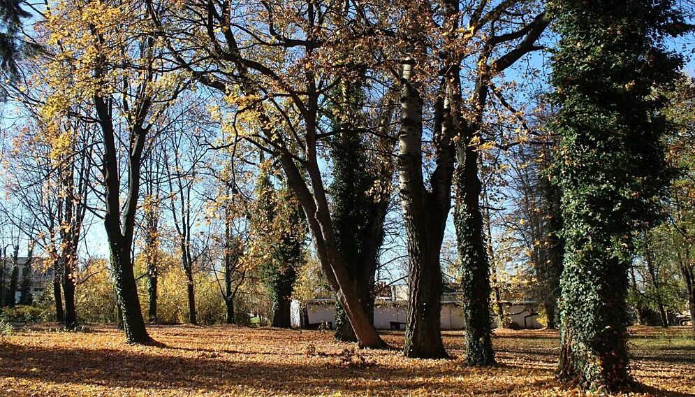 Rewitalizacja parku przy bielskim pediatryku