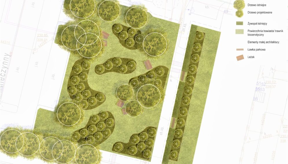 Sad w gliwicach projekt