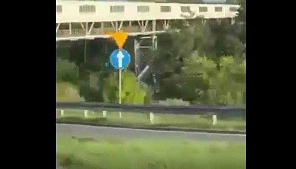 Samobojca ilu