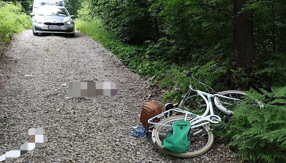 Smierc rowerzystki katowice