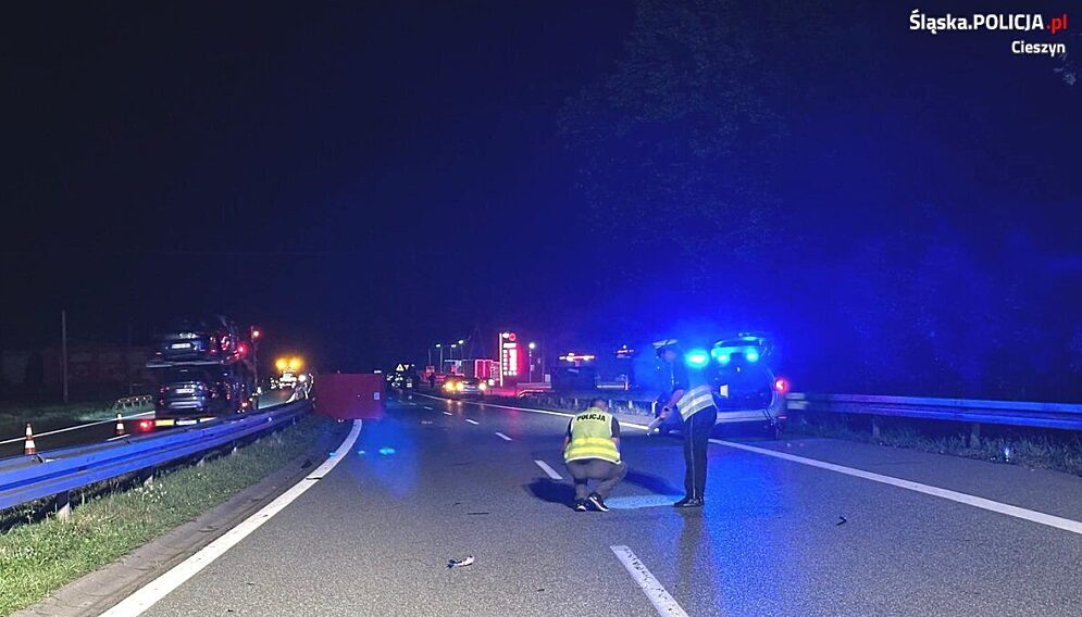 Smiertelne potracenie na dk81