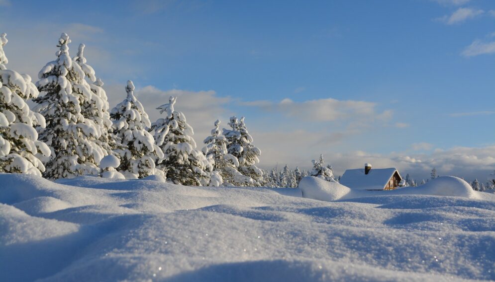 Snow 1209991 1920 03