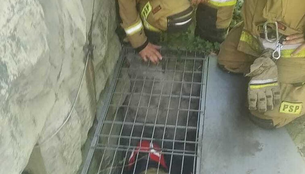 Strazacy uratowali kotka