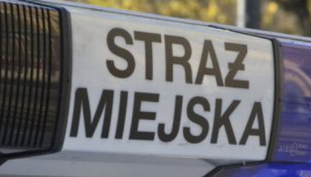 Strazkatowice