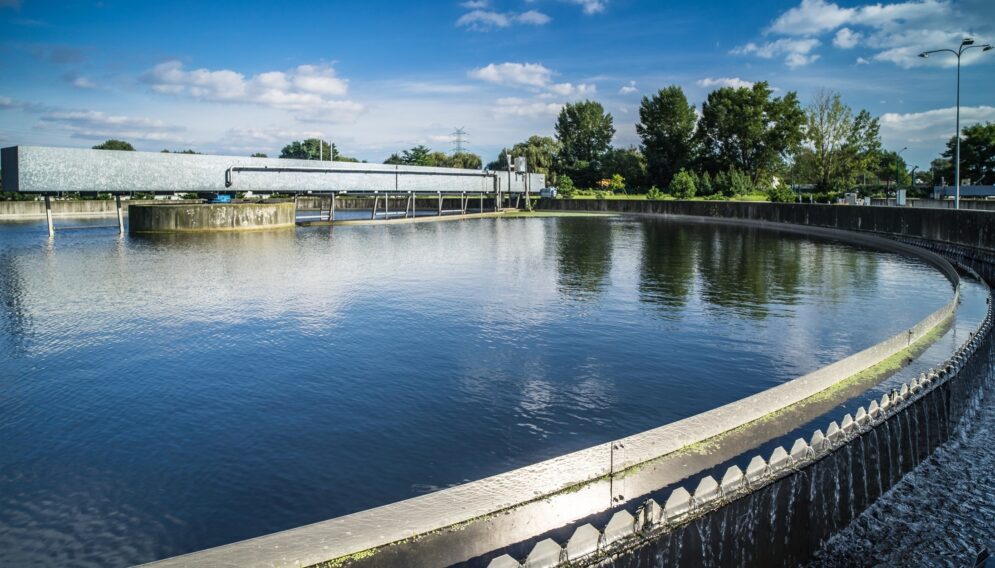 Swiatowy Dzien Walki z Pustynnieniem i Susza