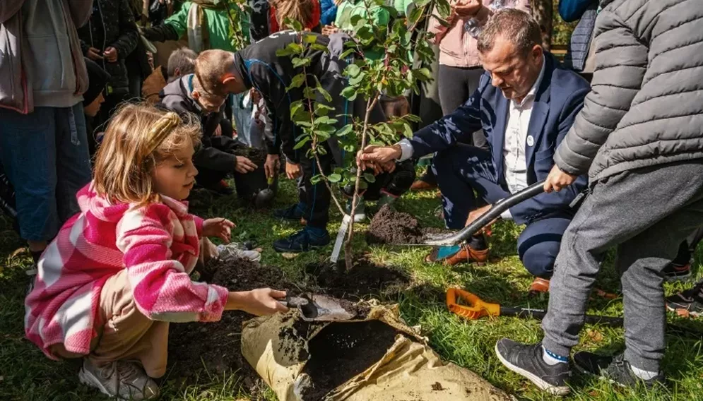 Swieto drzewa w sosnowcu 2022