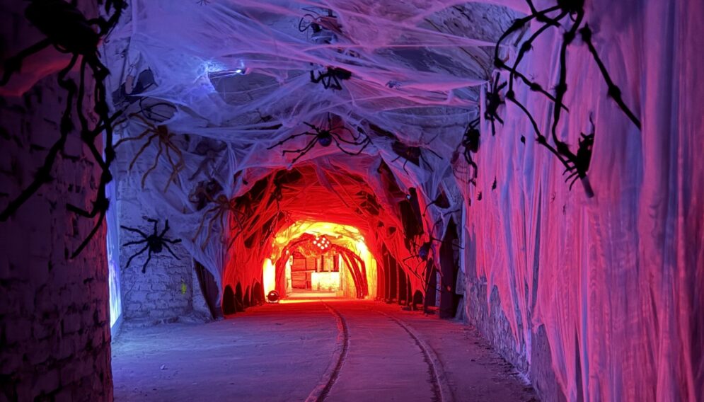 Sztolnia krolowa luiza