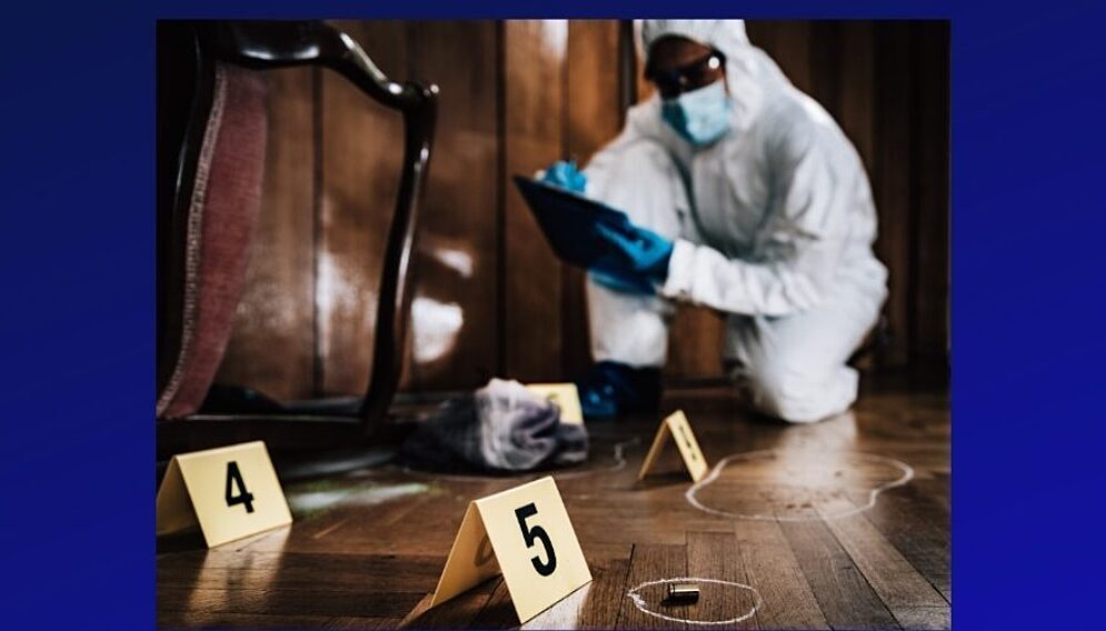 Tajemnice kryminalnych spraw