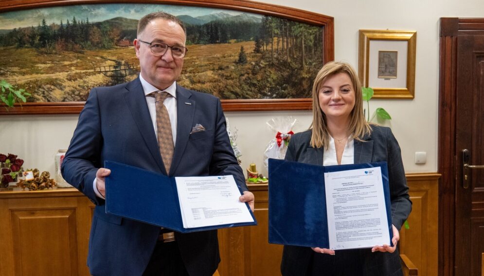 Umowa szyb franciszek