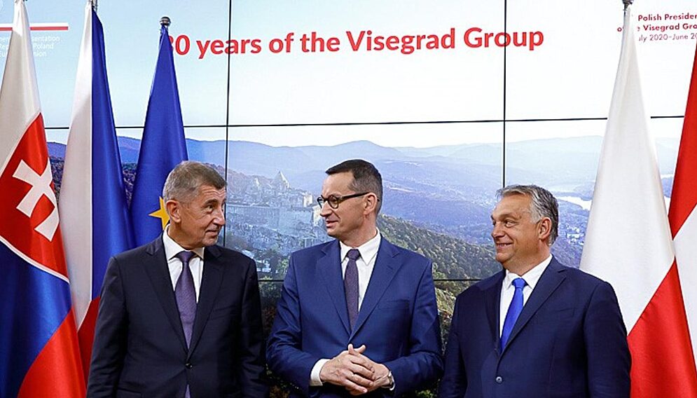 Videgrad group babisz