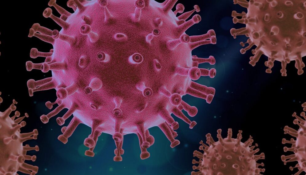 Virus 4937553 1920