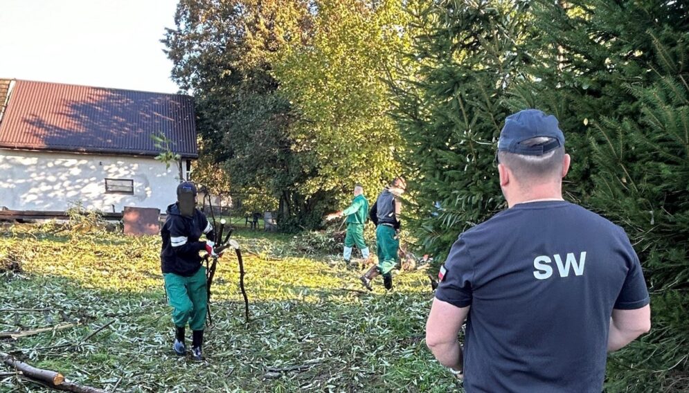 Wiezniowie z jastrzebia zdroju