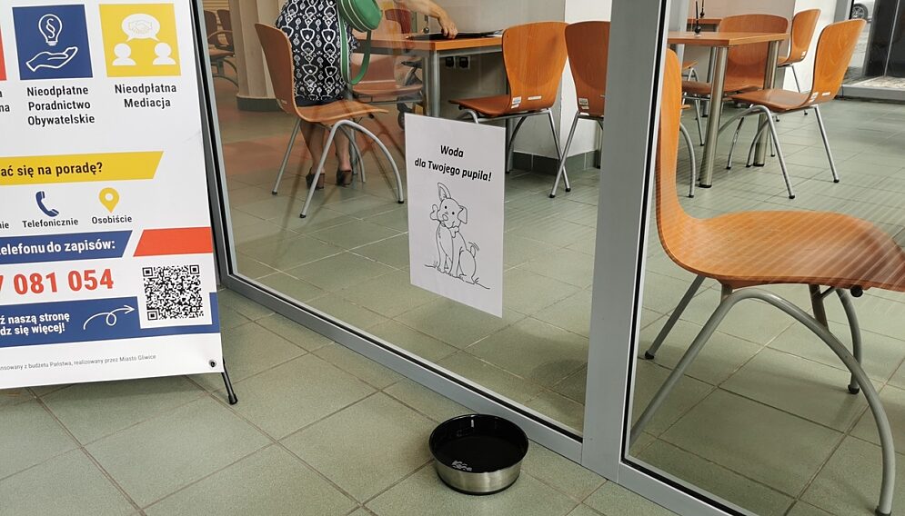 Woda dla psow w urzedzie