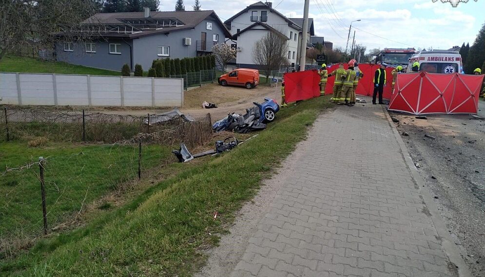 Wypadek smiertelny rogów