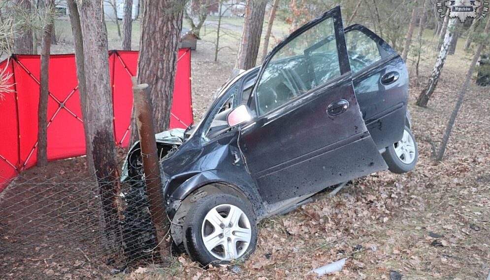 Wypadek smiertelny żarki