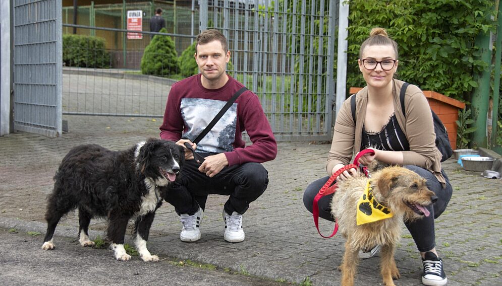 Zabierz psa ze schroniska na spacer