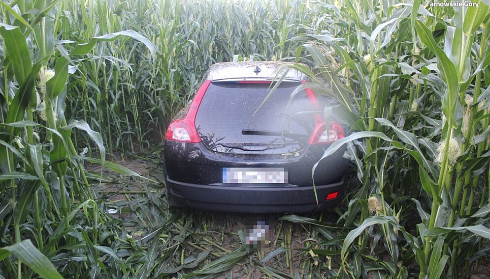 Zasnela za kierownica wjechala w pole