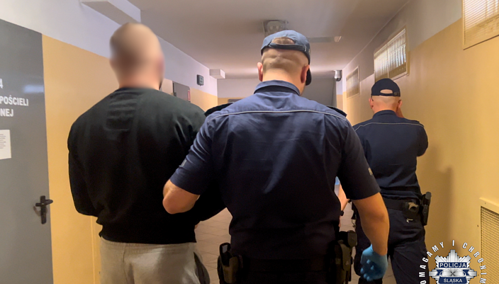 Zatrzymani pseudokibica