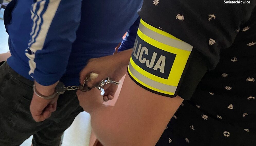 Zatrzymanie domowego oprawcy