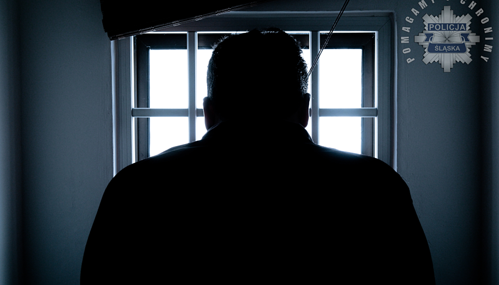 Zatrzymanie pedofila w piekarach