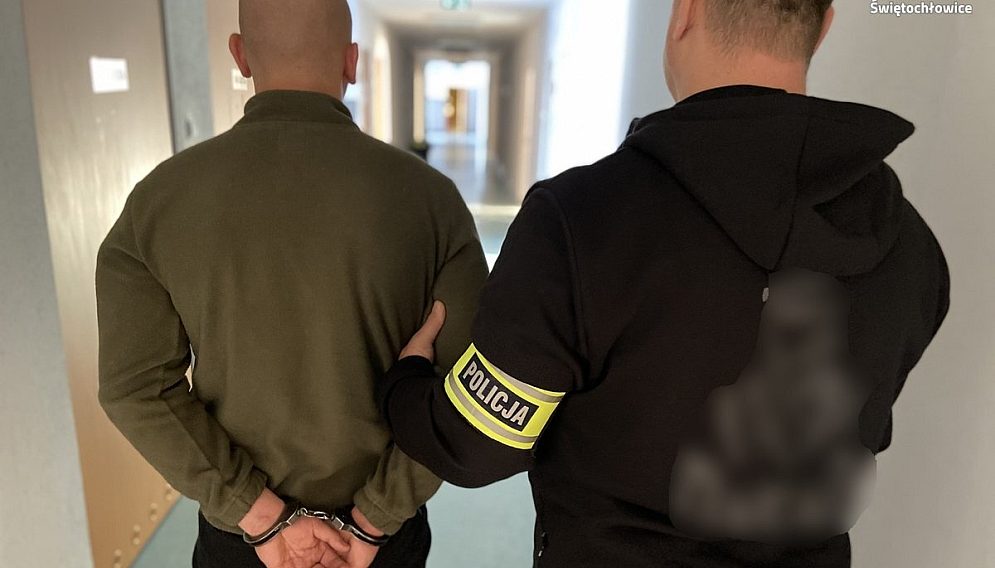 Zatrzymanie złodzieja