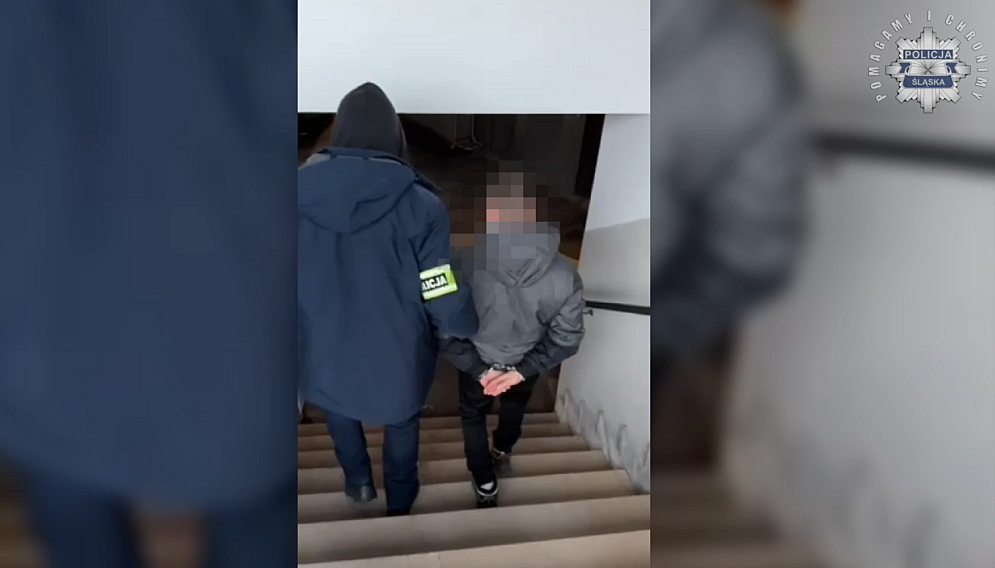 Zatrzymany za pedofilię