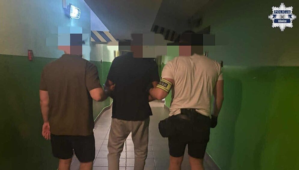 Zatrzymany za pobicie matki