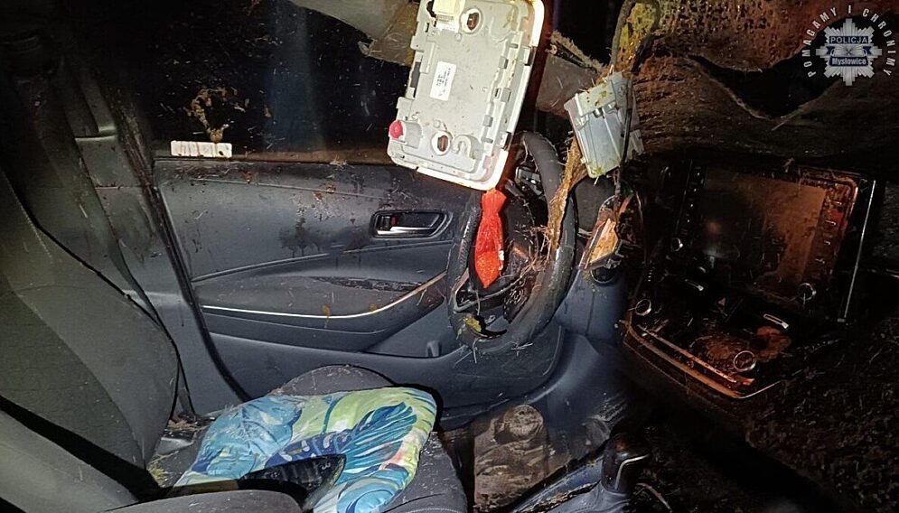 Zderzenie z łosiem na s1