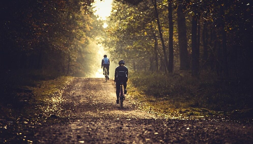 Zdrowie układu nerwowego